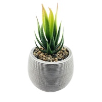 Vente en gros d'usine : Mini-pots de fleurs décoratifs en ciment pour plantes vertes assorties, intérieur/extérieur, design classique durable
