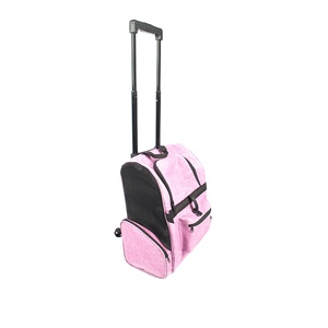 Airline Approved Large Capacity Pet Bag Breathable Scratch Resistant Mesh Oxford Pet <b>Backpack</b> - Product Image 3