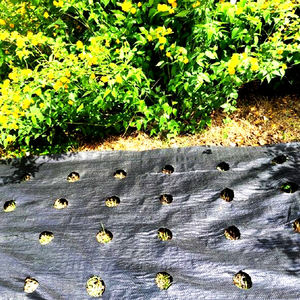 PP PE gewebtes Geo textil Landwirtschaft liche Bodendecker Polyethylen gewebe Unkraut matte Schlick folie Gewebtes Geo textil - Product Image 6