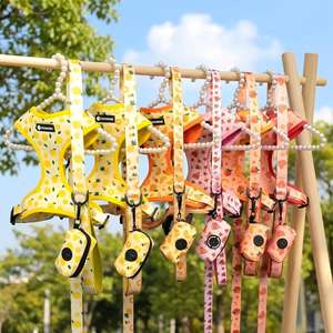 Ensemble personnalisé de harnais pour <span class=keywords><strong>chien</strong></span> avec impression sur mesure, motif gratuit, distributeur de sacs à excréments pour chiot, <span class=keywords><strong>laisse</strong></span> <span class=keywords><strong>et</strong></span> collier pour <span class=keywords><strong>chien</strong></span> - Product Image 1