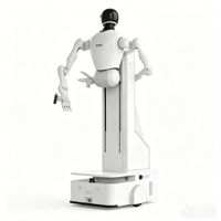 Brazo Robótico Móvil Integrado, Robot Humanoide Compuesto con Articulaciones Servo de Alta Precisión para Soluciones de Automatización Industrial