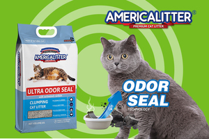 <span class=keywords><strong>Arena</strong></span> para <span class=keywords><strong>Gatos</strong></span> Bentonita Popular OEM/ODM, Bentonita Multi-fragancia, Libre de Polvo, Fuerte Aglomeración, <span class=keywords><strong>Arena</strong></span> para <span class=keywords><strong>Gatos</strong></span> de Bentonita Rota - Product Image 4