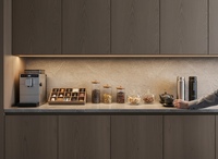 Éclairage LED encastré linéaire pour armoire, étagère, meuble de cuisine, vitrine YB1011-21-1