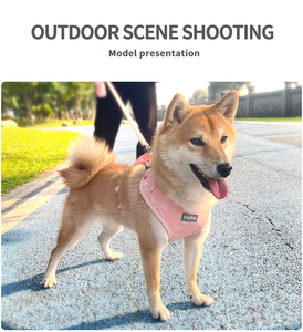 ชุดปลอกคอและสายจูงสุนัขแบบสวม ไม่รัดคอ สีสันน่ารัก ลายสวยงาม ผลิตตามสั่ง ราคาโรงงาน คุณภาพดี สำหรับสุนัขพันธุ์เท็ดดี้ ขนาดกลางและเล็ก - Product Image 4