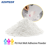 Poudre DTF Kenteer TPU, adhésifs thermofusibles à haute élasticité pour impression par transfert thermique DTF, point de fusion 105-120, 10-15 s