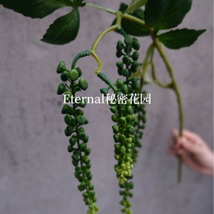 ผลไม้โปเกวีดประดิษฐ์สีเขียวจาก PVC สำหรับตกแต่งงานแต่งงาน ตกแต่งบ้าน ติดผนัง ใช้เป็นป้ายบอกทางเดิน - Product Image 5