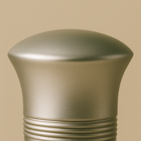 Flacon de parfum vide rechargeable de luxe haut de gamme 50 ml avec pulvérisateur en verre et accessoires décoratifs