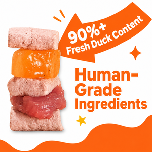 <span class=keywords><strong>Cibo</strong></span> Completo Liofilizzato per Gatti a Base di Anatra con Cachi, Olivello Spinoso e Olio di Salmone, Ricetta ad Alto Contenuto Proteico con Singola Proteina Animale - Product Image 2