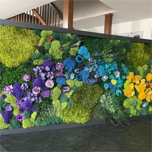 Commercio all'ingrosso di colore verde conserve di fresco <span class=keywords><strong>muschio</strong></span> naturale per le decorazioni murali <span class=keywords><strong>muschio</strong></span> <span class=keywords><strong>artificiale</strong></span> della parete - Product Image 3