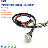 Harnais de câblage électronique personnalisé avec isolation en nylon pour équipements automobiles, motocycles, industriels, médicaux et électriques - OEM/ODM