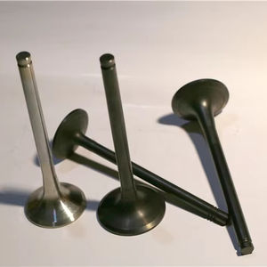 วาล์วไอดีวาล์วไอเสีย N54B30 N20 N46วาล์วไอดีเครื่องยนต์ปลอม N57 <span class=keywords><strong>N52B30</strong></span> N52B25 N63B44 S63B44 - Product Image 1