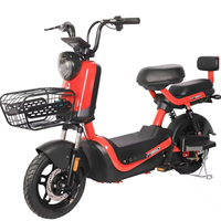 Vélo Électrique Urbain Adulte 500W Sans Balais 48V Cadre en Acier Roues 14 Pouces Frein à Tambour Moteur Moyeu Arrière Assistance au Pédalage Écran LCD