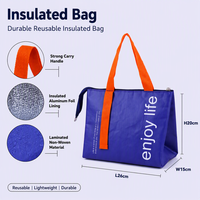 Sac isotherme personnalisé en non-tissé avec logo, pour les voyages, boîte à glace thermique souple, sac de pique-nique, sac de plage avec bandoulière