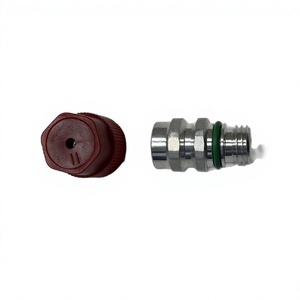 Válvula de Inspección de Refrigerante Tm 13277003 52458184 para Sistema de Aire Acondicionado de Buick, Chevrolet y Cadillac, Pieza de Repuesto - Product Image 1