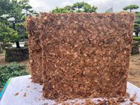 Briques de coco Yandong B-0285, terreau nutritif pour la culture des fleurs et des légumes, fibre de coco universelle