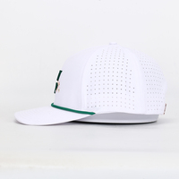 BSCI topi bisbol 5 Panel kustom tahan air Laser lubang 3D desain cetak bunga untuk Olahraga & penggunaan luar ruangan