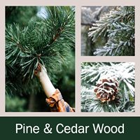 AIKUN Décorations d'arbre de Noël d'intérieur Bougies de forêt de cèdres de ferme rustiques avec cire de soja parfumée pour les vacances du Nouvel An