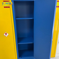 Armoire de stockage en acier pour bouteilles de gaz, armoire de sécurité en métal pour deux bouteilles de gaz, armoire chimique