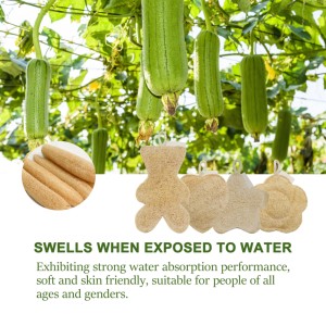 100% Natuurlijke Biologisch Afbreekbaar Bad Exfoliërende Loofah <span class=keywords><strong>Luffa</strong></span> Zeep Natuurlijke Sponspads Natuurlijk Gerecht <span class=keywords><strong>Luffa</strong></span> Keuken Vegen Loofah Spons - Product Image 6