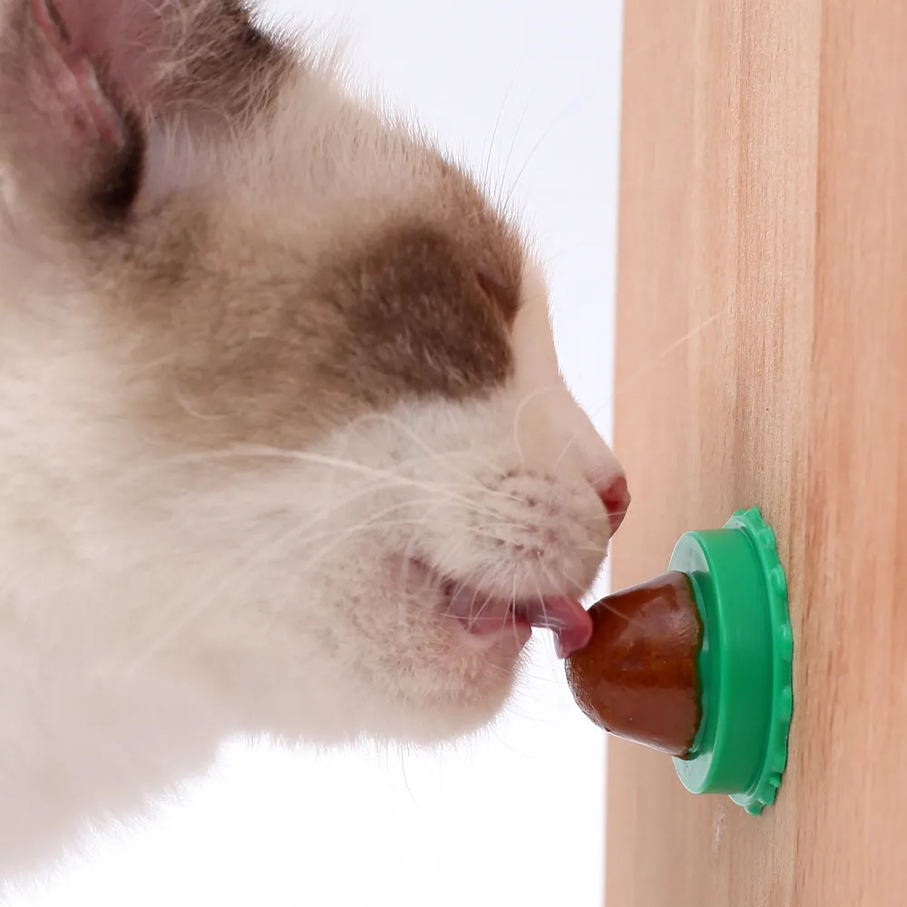 Prodotti per animali domestici all'ingrosso giocattolo per alimenti per gatti nutrizione solida materia prima giocattoli per erba gatta caramelle per gatti