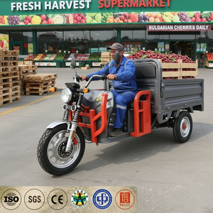 Triciclo Eléctrico EEC <span class=keywords><strong>de</strong></span> 3 Ruedas para <span class=keywords><strong>Transporte</strong></span> <span class=keywords><strong>de</strong></span> Carga y Pasajeros, Motocicleta para Adultos, Uso Agrícola, Venta Ambulante, Desplazamientos Diarios en <span class=keywords><strong>Europa</strong></span> - Product Image 1