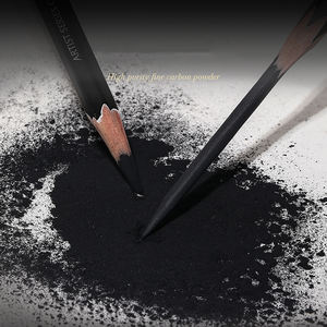 निजी ब्रांड अनुकूलित थोक उच्च गुणवत्ता वाले कलाकार ग्रेड 10 पैक चारकोल पेन सुरक्षित नहीं - Product Image 5