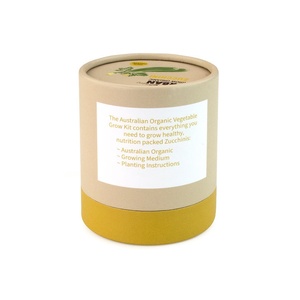Piantine di Zucchine Biologiche Non-OGM Eco-Friendly ad Alta Resa per Coltivazione Domestica in Orto - Product Image 3