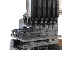 Commande numérique automatique industrielle de machine d'étalonnage de flamme de briquet pour briquets au butane/gaz
