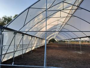 Dente di Sega idroponica Serra Per La Zona Tropicale - Product Image 3