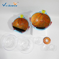 Œil géant modèle anatomie modèles anatomiques yeux oeil orbital modèle de structure anatomique