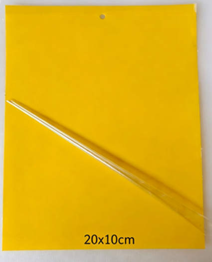 20cm*10 cm