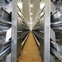 Cage à poules de type H pour 10 000 oiseaux avec système entièrement automatique pour l'élevage avicole commercial, solution haute densité
