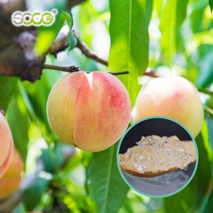 Tarım polimer toprak sabitleyici için bitkiler Soco polimer süper emici polimer için koruma kuraklık - Product Image 4