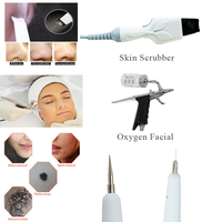 Appareil Facial Galvanique Multifonctionnel Haute Fréquence, Équipement de Salon à Vapeur Salée Prise US/IT
