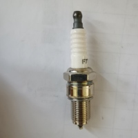 Pièces de rechange pour générateur d'essence SeaSummer GX160 168F Spark Plug F7TC