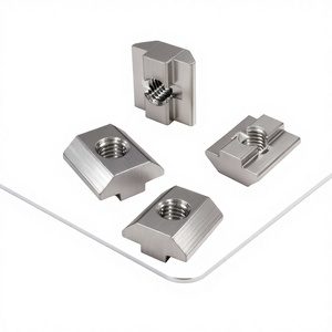 ZF Europäischer Standard T-förmiges Gleitmutterprofil Spezial 20-30-40-45 M4 M5 M6 M8 Verzinkt Güteklasse 5 Fixierung - Product Image 2