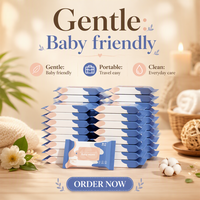 Lingettes humides pour bébé antibactériennes écologiques, douces, non tissées, 10 pièces, portables, hygiéniques, pour le nettoyage des mains et du visage, usage quotidien