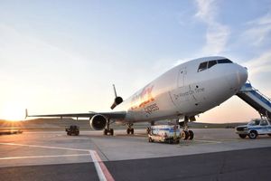 משלוח מהיר מדלת לדלת מסין לאירופה, הובלה אווירית, FBA, DDP, שירותי סוכן משלוחים, כולל שירותי בדיקת איכות - Product Image 3