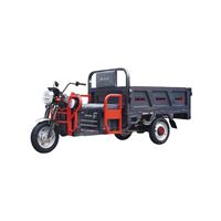Triciclo Eléctrico de Gran Potencia, Triciclo E Rickshaw para Adultos, Otros Triciclos para Pasajeros CKD