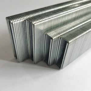 17 गेज 10.6 मिमी क्राउन बीआ 1450 गैल्वेनाइज्ड भारी शुल्क तार स्टेपल - Product Image 2