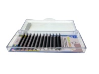 Extensions de cils en gros 0.07W, courbure C, D, DD, logo personnalisé accepté, volume W Lash