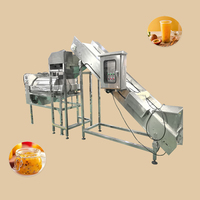 Industriële Grootschalige Fruitpulp Extractie Productielijn Fruitwasmachine Pulping Machine