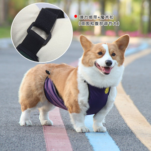 Corgi-Specific Waterproof Belly Band For Small And <b>Medium</b> Dogs All Seasons Pet Clothes With Stain Resistant Design - Product Image 2