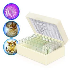 12 PCS Plant Microscope Slides <span class=keywords><strong>Cebolla</strong></span> Anthers Meiosis <span class=keywords><strong>Microscopio</strong></span> Preparado Slides - Product Image 6
