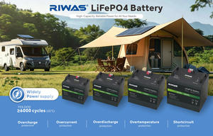 Batteria al Litio LiFePO4 a Basso Costo, Alta Capacità - Product Image 2