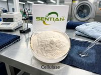 Poudre d'enzyme cellulase de qualité alimentaire CAS 9012-54-8 haute activité pour le textile, la boulangerie et l'extraction de jus