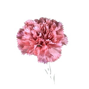 Fleur artificielle de carnation à tête unique simulée, fleur en soie pour décoration de mariage et de maison, cadeau, vente en gros fabricant - Product Image 5