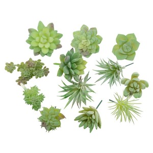 Plantas Suculentas Artificiales de Imitación para Manualidades, Accesorios para Macetas, Decoraciones Florales Artificiales de 10 cm o Menos, Tipo Trompeta DRO - Product Image 4