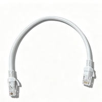 Câble LAN Cat5e UTP Gigabit RJ45 0,25-100M pour Projets de Construction et Maisons Intelligentes – Choix CU/CCA – Vente en Gros