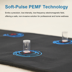 Tapis de thérapie bio-résonnante PEMF professionnel Fitkang 1-99Hz personnalisable pour tout le corps, fréquence réglable, série Pro - Product Image 2